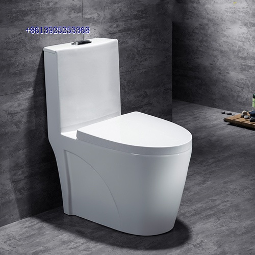 new design hot sale in Pakistan ceramic toilet wc
