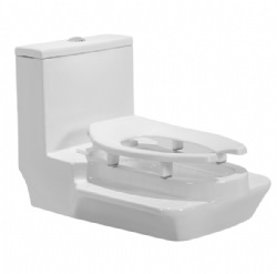 Squat and sit dual-purpose toilet, white ceramic toilet