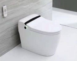 Monarch lewei PRO Multi-function Modern Luxury Bathroom cleaning Wc Floor mounted ceramic smart toilet intelligent