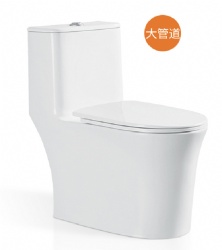 One piece Toilet Bowl P-Trap Flushing Rimless Toilet Ceramic