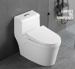 One piece Toilet Bowl P-Trap Flushing Rimless Toilet Ceramic