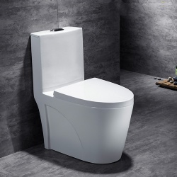 Sanitary Ware P Trap Western Wc Luxury Bathroom Chinese Wholesale Washdown One piece toilet