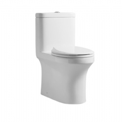 Siphon toilet