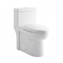 Siphon toilet