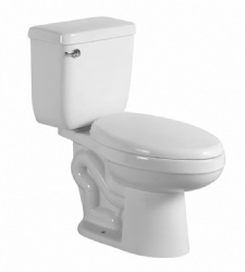 Two Piece Toilet